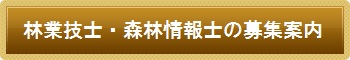 林業技士・森林情報士の募集案内